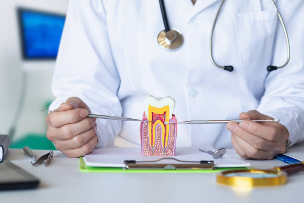 Best Broken or Cracked Tooth Emergency Dentist in Hudson, NY